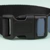 Wanapix Personalized Dog Collar with Name, Bones, 61.5 x 2.5 cm view 3