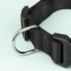 Wanapix Personalized Dog Collar with Name, Bones, 61.5 x 2.5 cm view 4