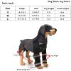 KhUKhu Dog Front Leg Brace with Reflective Strip, 4 Metal Springs, 2-Pack view 3