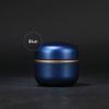 AGAATI Iron Pet Memorial Urn for Dogs, Cats and Small Pets view 3