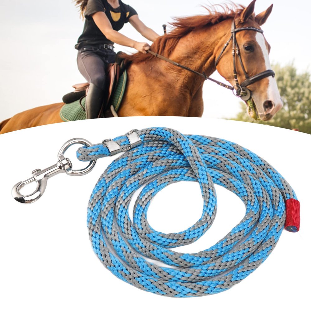 BEIJIALY 9.8 ft Long Dog Training Leash, Heavy-Duty Nylon Rope with Alloy Hook, Blue and Gray