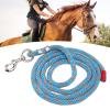 BEIJIALY 9.8 ft Long Dog Training Leash, Heavy-Duty Nylon Rope with Alloy Hook, Blue and Gray view 1