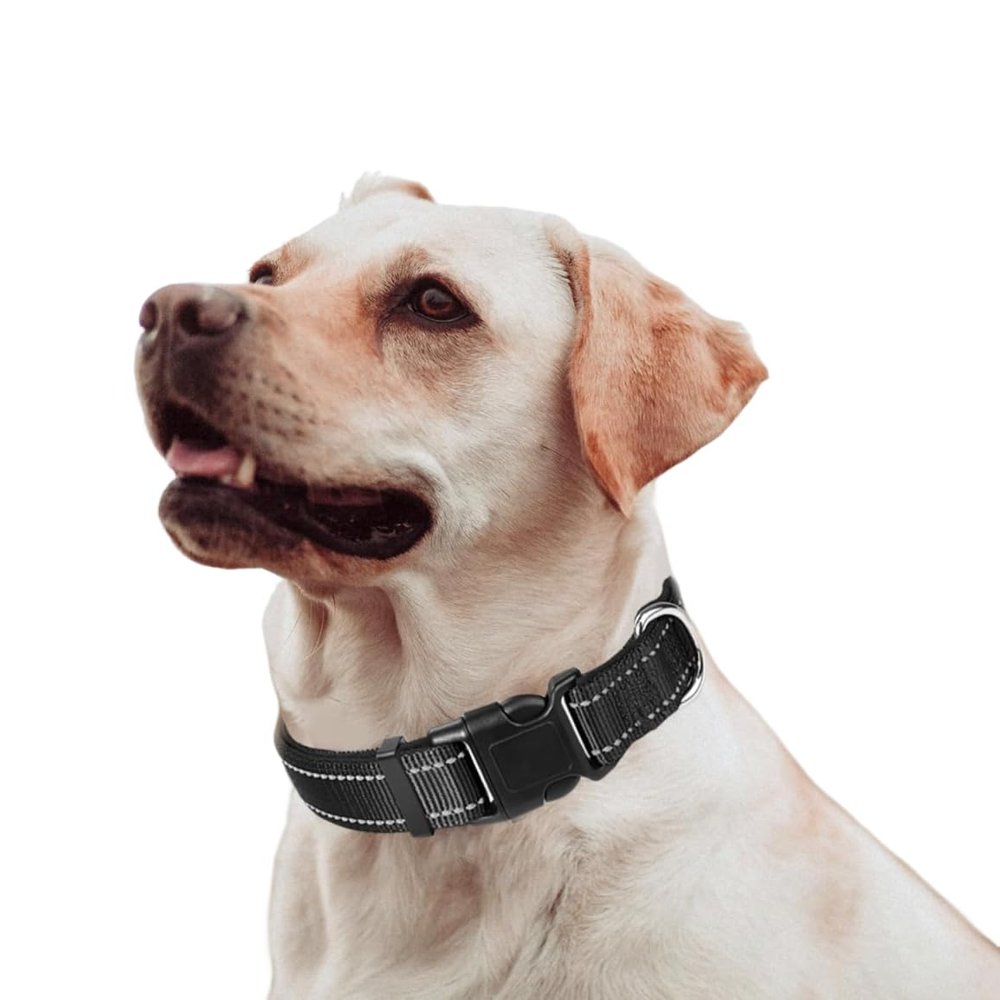 Norhogo Dog Collar, Classic Adjustable Reflective Nylon Collar, Suitable for Medium Dogs, Black, M