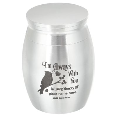 Warmhm 2-Piece Silver Pet Cremation Urns for Bird Ashes