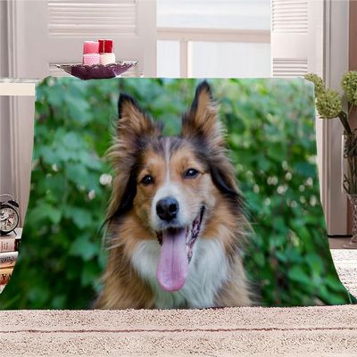 Border Collie Flannel Blanket, 100 x 130 cm, Soft 3D Microfiber Fleece