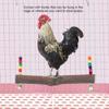 Wnvivi Chicken Cage Hanging Swing, Wooden Bird Toy view 2
