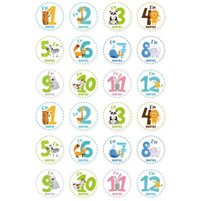 NUOBESTY 24-Piece First-Year Baby Milestone Stickers, Monthly Belly Stickers, Animal Designs, Photo Props