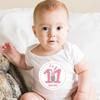 NUOBESTY 24-Piece First-Year Baby Milestone Stickers, Monthly Belly Stickers, Animal Designs, Photo Props view 3