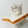 POPETPOP Cat Headband - Bread Shape view 4