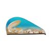 Quick-Dry Hair Towel with Sea Pearl Design, Absorbent Coral Velvet Hair-Drying Cap with Secure Button for Long, Thick Hair view 1