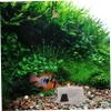 Abaodam Aquarium Cave with Purple Shrimp Cave view 3