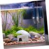 Abaodam Aquarium Cave with Purple Shrimp Cave view 4