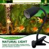 Tioheam Reptile Heat Lamp - Turtle Light view 2