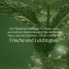 L'OCCITANE Pure Freshness Conditioner - 250 ml view 3
