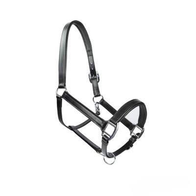 MTB Equestrian Soft Leather Horse Halter, Fully Padded, Adjustable on Both Sides, Black, Pony