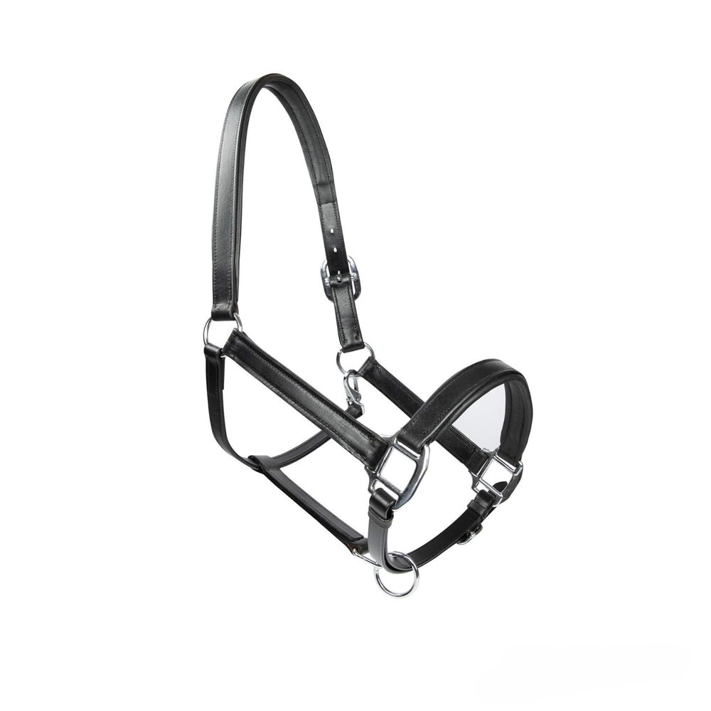 MTB Equestrian Soft Leather Horse Halter, Fully Padded, Adjustable on Both Sides, Black, Pony
