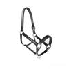MTB Equestrian Soft Leather Horse Halter, Fully Padded, Adjustable on Both Sides, Black, Pony view 1