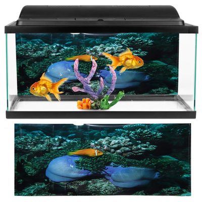 buhb Aquarium Background Poster, PVC, Non-Glare Thickening for Aquariums (61 * 41cm)