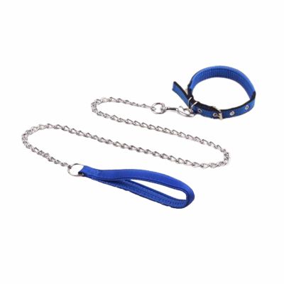 Dog Leash for Small to Large Dogs, Adjustable Dog Collar with Anti-Bite Metal Chain, Durable, Manual Neck Adjustment, Blue, 1.2 m, S