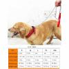 Dog Leash for Small to Large Dogs, Adjustable Dog Collar with Anti-Bite Metal Chain, Durable, Manual Neck Adjustment, Blue, 1.2 m, S view 2