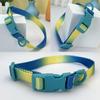 Newtensina Polyester Dog Collar - Yellow Blue - L view 2