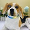 Newtensina Polyester Dog Collar - Yellow Blue - L view 4