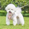 Newtensina Breathable Soft Dog Harness with Leash - Pink - XS view 2