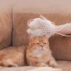 Pet Grooming Massage Glove for Cats and Dogs view 3
