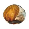 Shell and Sand Shower Cap, Double-Layer Waterproof Hair Cap view 1