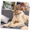 POPETPOP 12 Pack Pet Dog Tags Stainless Steel Round Labels view 4