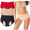REUset Women's Washable Incontinence Briefs, 3-Piece Set, Absorbent Area, Leakproof, Size B, 5XL view 1