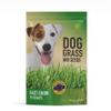 R&R SHOP Grass Seed Mix for Dogs, Fast Growing for a Happy Dog, High-Quality European Seeds (150 g) view 1