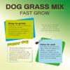 R&R SHOP Grass Seed Mix for Dogs, Fast Growing for a Happy Dog, High-Quality European Seeds (150 g) view 3