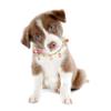Amosfun Pearl Dog Collar for Small Pets view 4