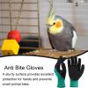 tongfeng Animal Handling Gloves, Thickened, Insulated, Anti-Bite and Scratch Protection, 1 Pair view 3