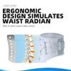 Lower Back Support Belt with Bionic Support Plate, Adjustable Lumbar Decompression Brace view 3