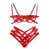 boseucn Sexy Lingerie Set for Women, 2-Piece Crossed Bra and Panties Set view 1