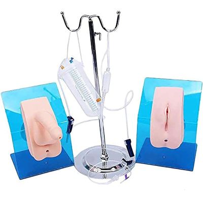LBMED Urinary Catheterization Training Model for Women and Men