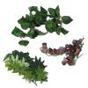Marooma Assorted Reptile Hanging Plants with Suction Cups view 1