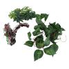 Marooma Assorted Reptile Hanging Plants with Suction Cups view 4