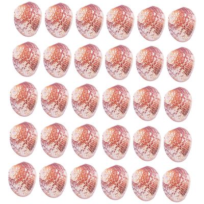 Cabilock 50-Piece 2–3 cm Scallop Shells with Holes for DIY Jewelry and Décor