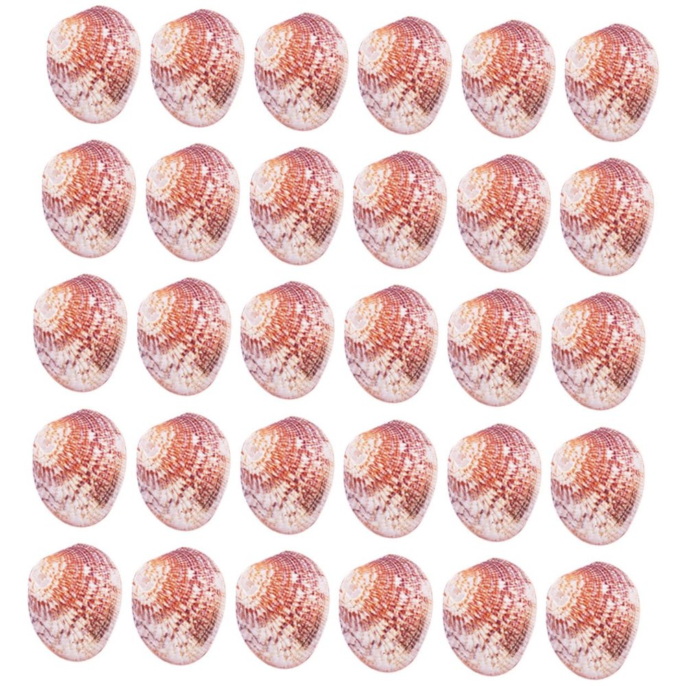 Cabilock 50-Piece 2–3 cm Scallop Shells with Holes for DIY Jewelry and Décor