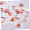 Cabilock 50-Piece 2–3 cm Scallop Shells with Holes for DIY Jewelry and Décor view 2