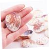 Cabilock 50-Piece 2–3 cm Scallop Shells with Holes for DIY Jewelry and Décor view 3