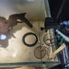 Onlynery Aquarium Feeding Tube view 3