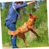 Mipcase Squeaky Plush Dog Toy for Small Dogs and Puppies view 2