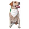 Lightweight Triangular Dog Bandana with Italian Flag view 1