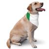 Lightweight Triangular Dog Bandana with Italian Flag view 4