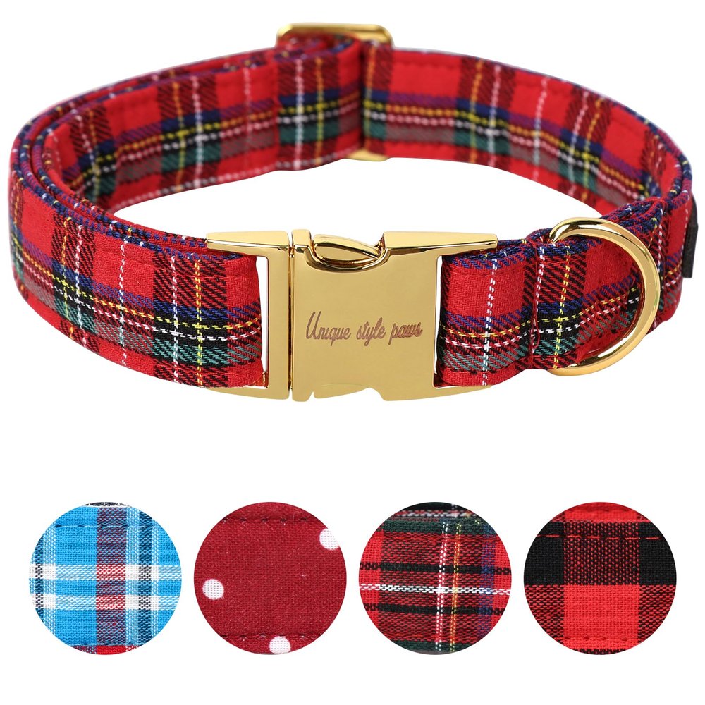 Unique Style Paws Dog Collar