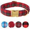 Unique Style Paws Dog Collar view 1